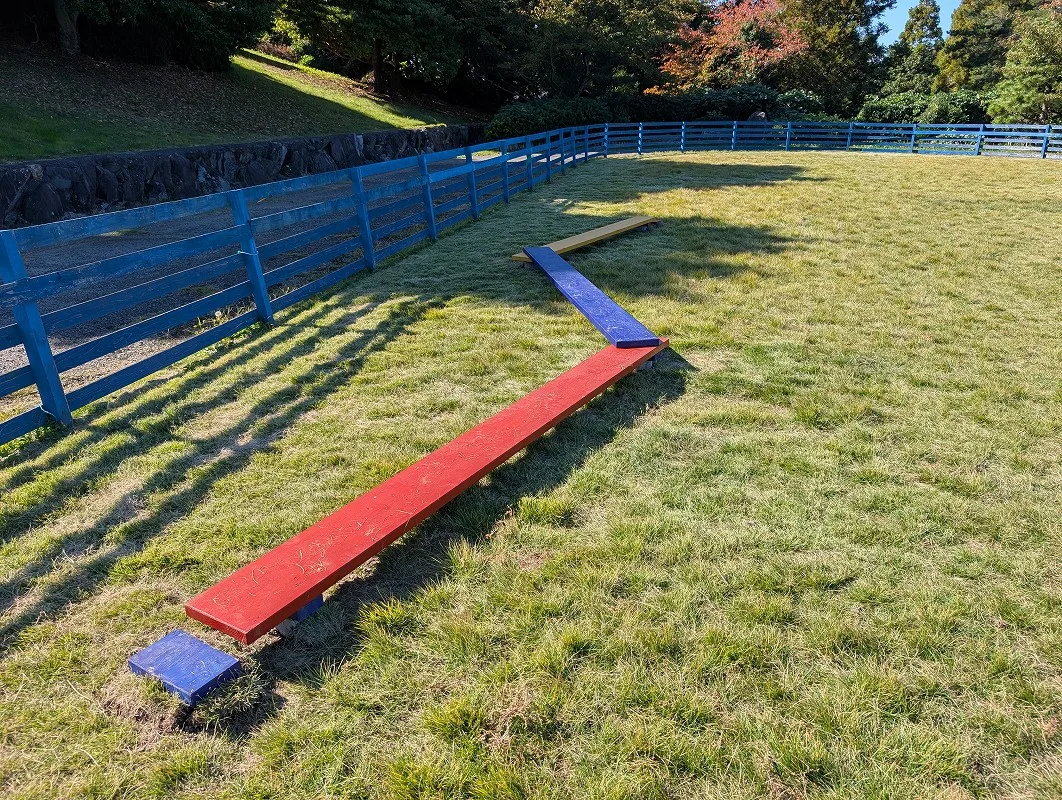 開放感あふれるドッグラン