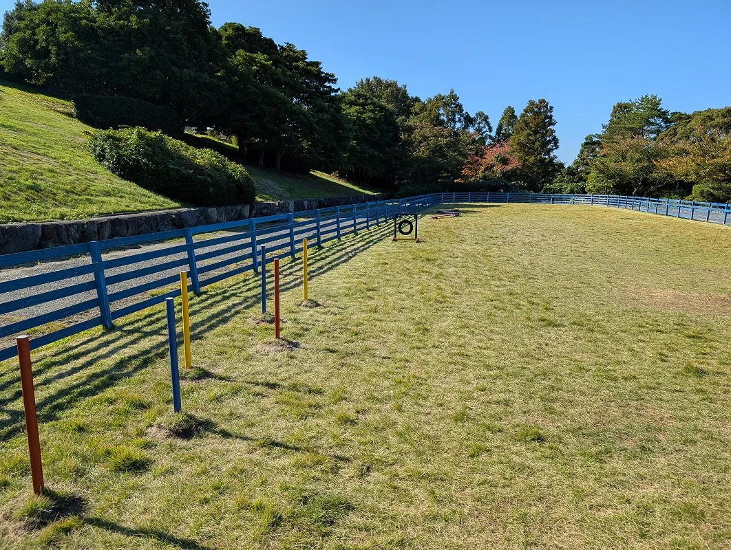 ドッグランの広さ