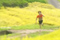 小豆島町中山千枚田