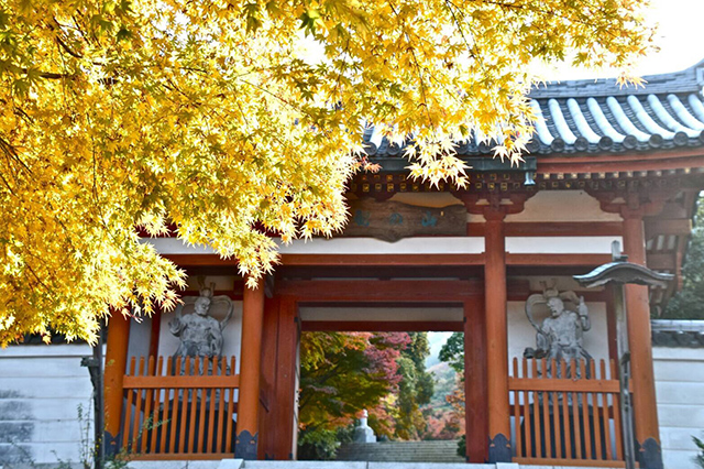 小豆島八十八ヶ所霊場第八十番札所　観音寺　奥の院　山之観音