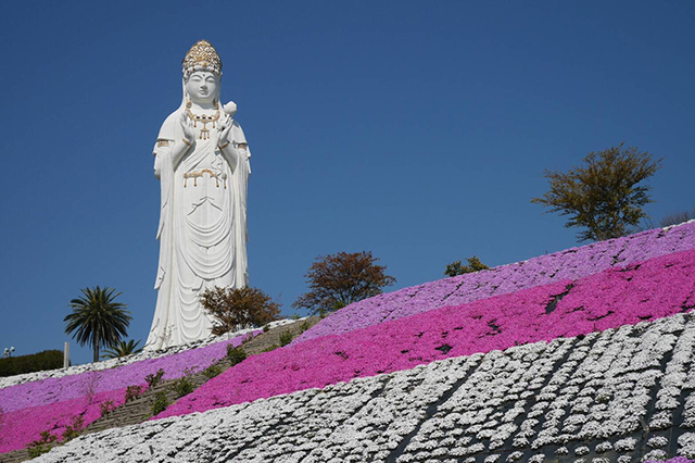 大本山 小豆島大観音 佛歯寺