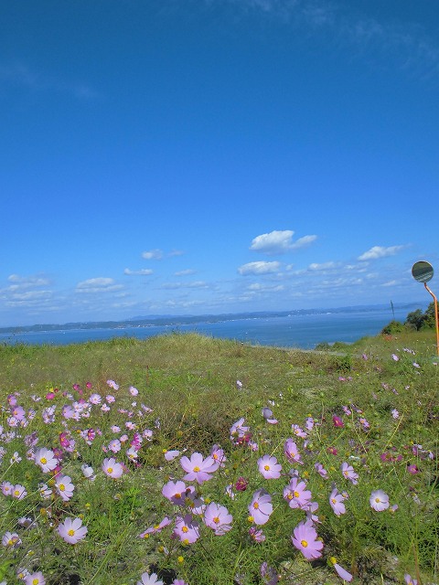 CIMG1258