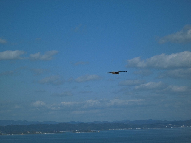 豊島に行ってきました